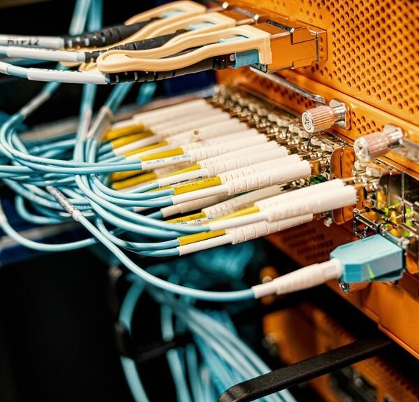 digital network expansion initiative